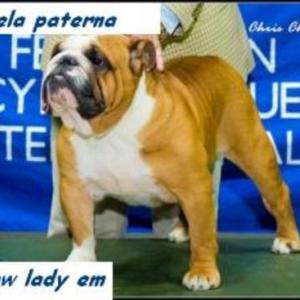 Bildaw Lady Em
