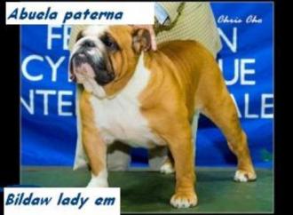 Bildaw Lady Em