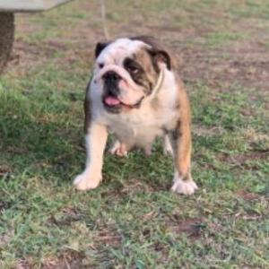 Rienbo Lucy